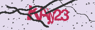 Code captcha