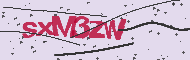 Code captcha