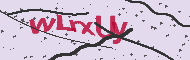 Code captcha
