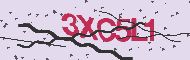 Code captcha